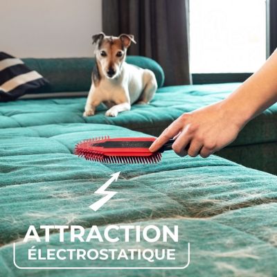 Brosse électrostatique - Vileda - PET Pro - Caoutchouc - Pour chiens - 1 pièce
