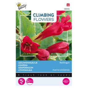 Buzzy Climbing Flowers, Asarina Red Dragon - Ca. 10 graines