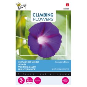 Buzzy Climbing Flowers, Ipomoea Knowlians Noire - Ca. 2 gr