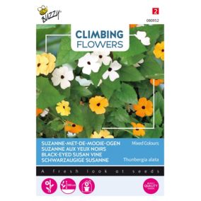 Buzzy Climbing Flowers, Thunbergia mélange - Ca. 0,5 gr