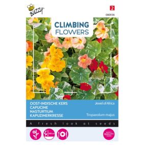 Buzzy Climbing Flowers, Tropaeolum Jewel of Africa - Ca. 3 gr