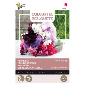 Buzzy Colourful Bouquets, Royal Family -lathyrus - Ca. 5 gr