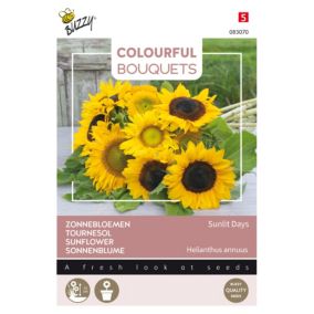 Buzzy Colourful Bouquets, Sunlit Days, Tournesol - Ca. 1 gr