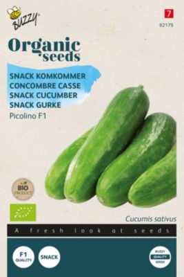 Buzzy Organic Coriandre à feuille - bio Semences - Ca. 3 gr
