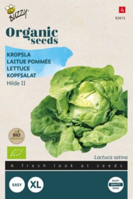 Buzzy Organic Laitue pommée Hilde II - bio Semences - Ca. 0,1 gr