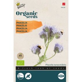 Buzzy Organic Phacelia -bio - Ca. 0,5 gr