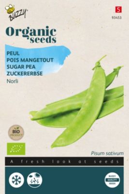 Buzzy Organic Pois mangetout Norli- bio Semences - Ca. 20 gr