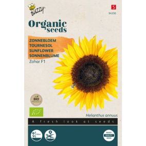 Buzzy Organic Tournesol Zohar F1-bio - Ca. 1 gr