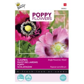 Buzzy Poppy Flowers Coquelicot Pavot Somnifère - Ca. 1 gr