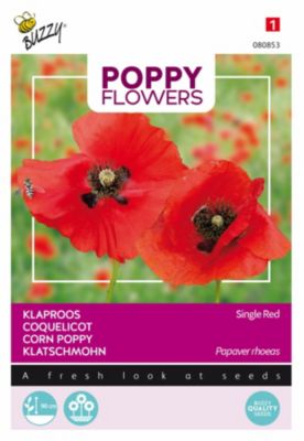Buzzy Poppy Flowers Coquelicot Simple rouge Semences - Ca. 1 gr