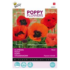 Buzzy Poppy Flowers Pavot d'Orient varié - Ca. 0,15 gr