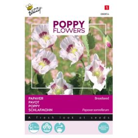 Buzzy Poppy Flowers Pavot des Jardins - Ca. 1 gr