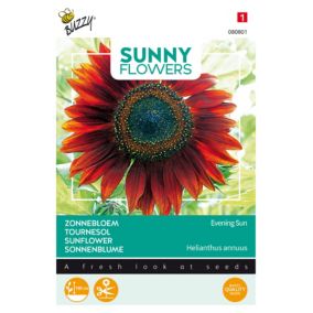 Buzzy Sunny Flowers, Tournesol Evening Sun - Ca. 4 gr