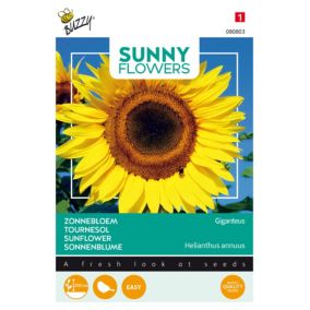 Buzzy Sunny Flowers, Tournesol Géant Giganteus - Ca. 5 gr