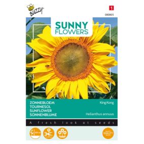Buzzy Sunny Flowers, Tournesol King Kong - Ca. 4 gr