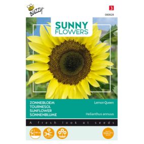 Buzzy Sunny Flowers, Tournesol Lemon Queen - Ca. 1 gr