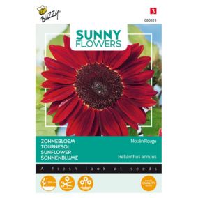 Buzzy Sunny Flowers, Tournesol Moulin Rouge - Ca. 1 gr