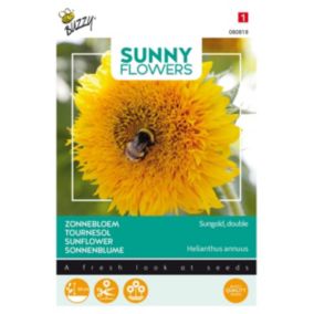 Buzzy Sunny Flowers, Tournesol nain Sungold double - Ca. 2.5 gr