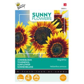 Buzzy Sunny Flowers, Tournesol Ring of Fire - Ca. 0,75 gr
