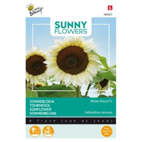 Buzzy Sunny Flowers, Tournesol White Moon F1 - Ca. 6 graines
