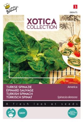 Buzzy Xotica Epinard sauvage Semences - Ca. 20 gr