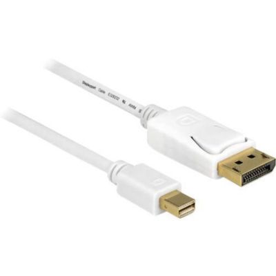Câble adaptateur Delock 83484 - mini DisplayPort 20 broches vers DisplayPort 20 broches, 5 m, blanc