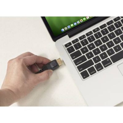 Câble de raccordement DisplayPort 2.1 Renkforce 2,00 m - UHD 8K, 80 Gbps