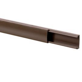 Cache Fils X 10 Mm Legrand Brun Castorama