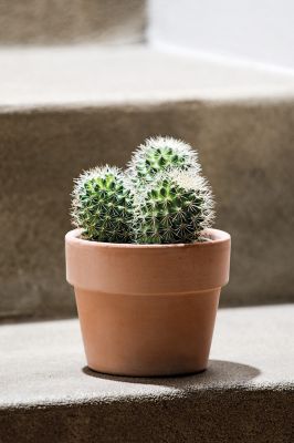 Cache pot rond terre cuite Perfetto White ø15,2 x h.13 cm