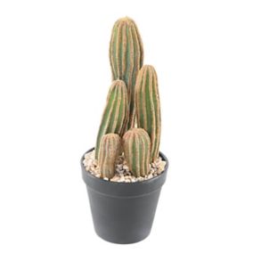 Cactus finger X artificiel h.28 cm avec pot décoratif