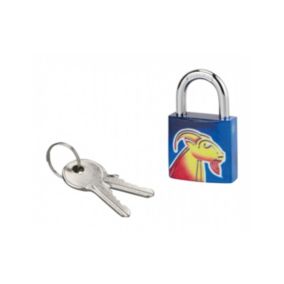 Cadenas à clé Capricorne, acier, intérieur, anse acier, 30mm, 3 clés - THIRARD