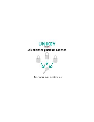 Cadenas à clé Fédéral Lock 720P UNIKEY (achetez-en plusieurs, ouvrez ...
