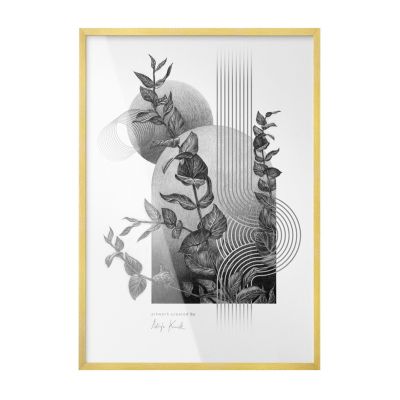 Cadre Léger Et Résistant Wallfluent 70x100 cm Or Pour Certificat