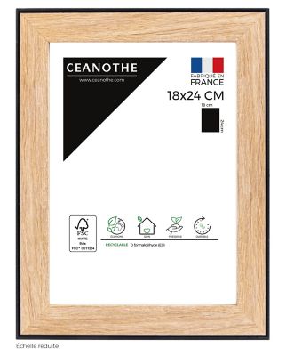 Cadre Newton noir 18 x 24 cm Ceanothe