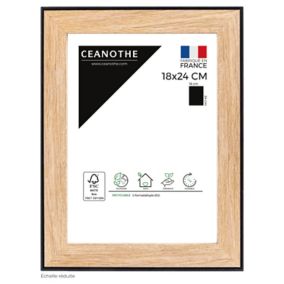 Cadre Newton noir l.18 x H.24 cm Ceanothe