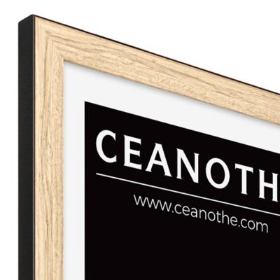 Cadre Newton noir l.21 x H.29,7 cm Ceanothe