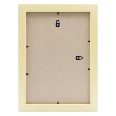 Cadre Newton noir l.21 x H.29,7 cm Ceanothe