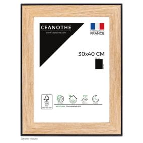 Cadre Newton noir l.30 x H.40 cm Ceanothe