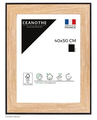 Cadre Newton noir l.40 x H.50 cm Ceanothe