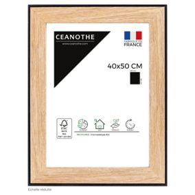 Cadre Newton noir l.40 x H.50 cm Ceanothe