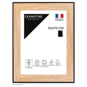 Cadre Newton noir l.50 x H.70 cm Ceanothe