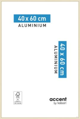 Cadre photo Accent en aluminium coloris or mat l.40 x H.60 cm Nielson