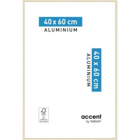 Cadre photo Accent en aluminium coloris or mat l.40 x H.60 cm Nielson