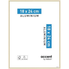 Cadre photo aluminium Nielsen gamme Accent l.19 x H.25 cm couleur or mat