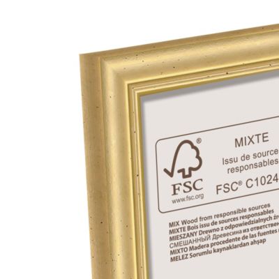 Cadre Rond Doré Avec Branches De Sapin Doré, Guirlande De Noël. Design