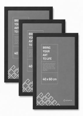 Cadre photo JCNORD Noir 400 x 600 mm verre polystyrène MDF - lot de 3