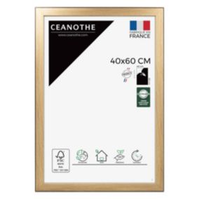 Cadre photo newton bois noir 40x60 cm Fabriqué en France
