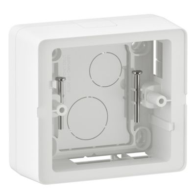 Cadre Saillie 1 Poste Legrand 31456 - Pour Pose Le Long Des Moulures, épaisseur 16mm