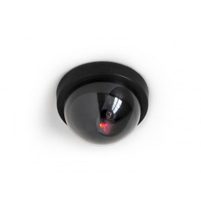 Caméra de surveillance factice dôme compacte Lifebox