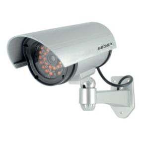 Caméra de surveillance factice type tube avec 30 Leds visibles de nuit - SEDEA - 550982